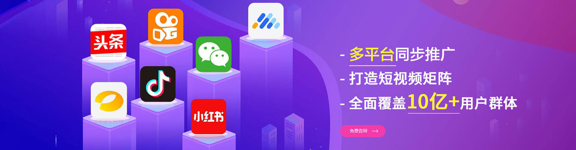 台山竞价端口开户